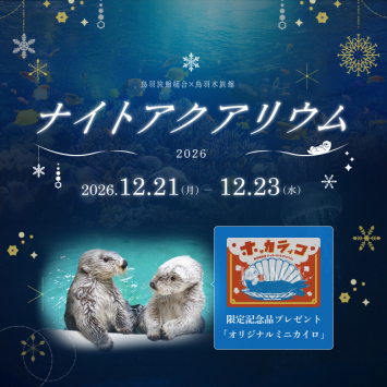 【12/21.22.23ナイトアクアリウム チケット付き】夜の鳥羽水族館を愉しむ 特別宿泊プラン(朝食付)