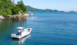 答志島 漁港風景