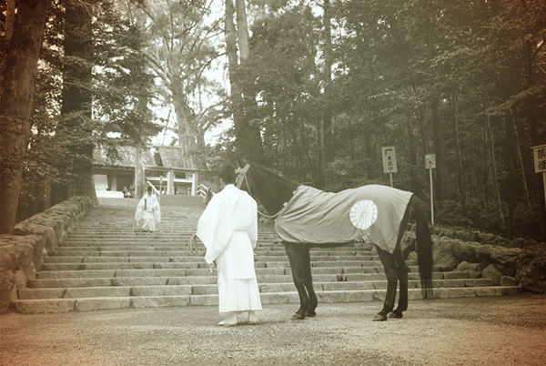 Pilgrimage to Ise – Sacred Horses