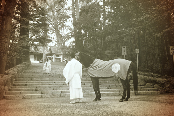 お伊勢参り 神馬