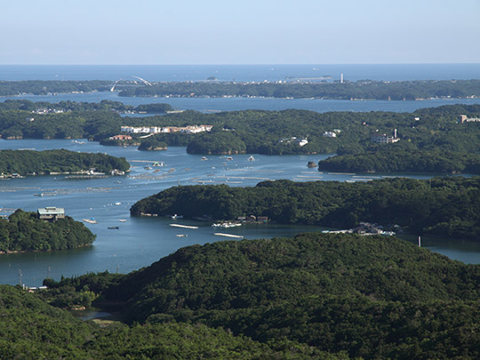 Yokoyama Observatory